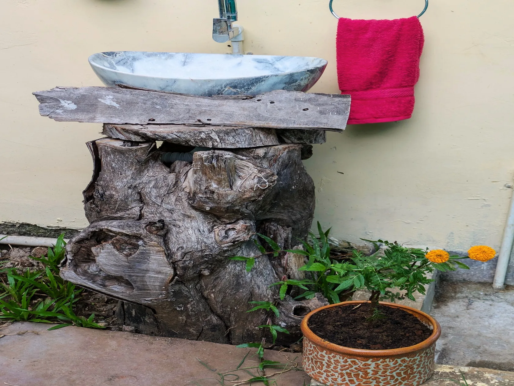 Lotus –Bali - Image 4