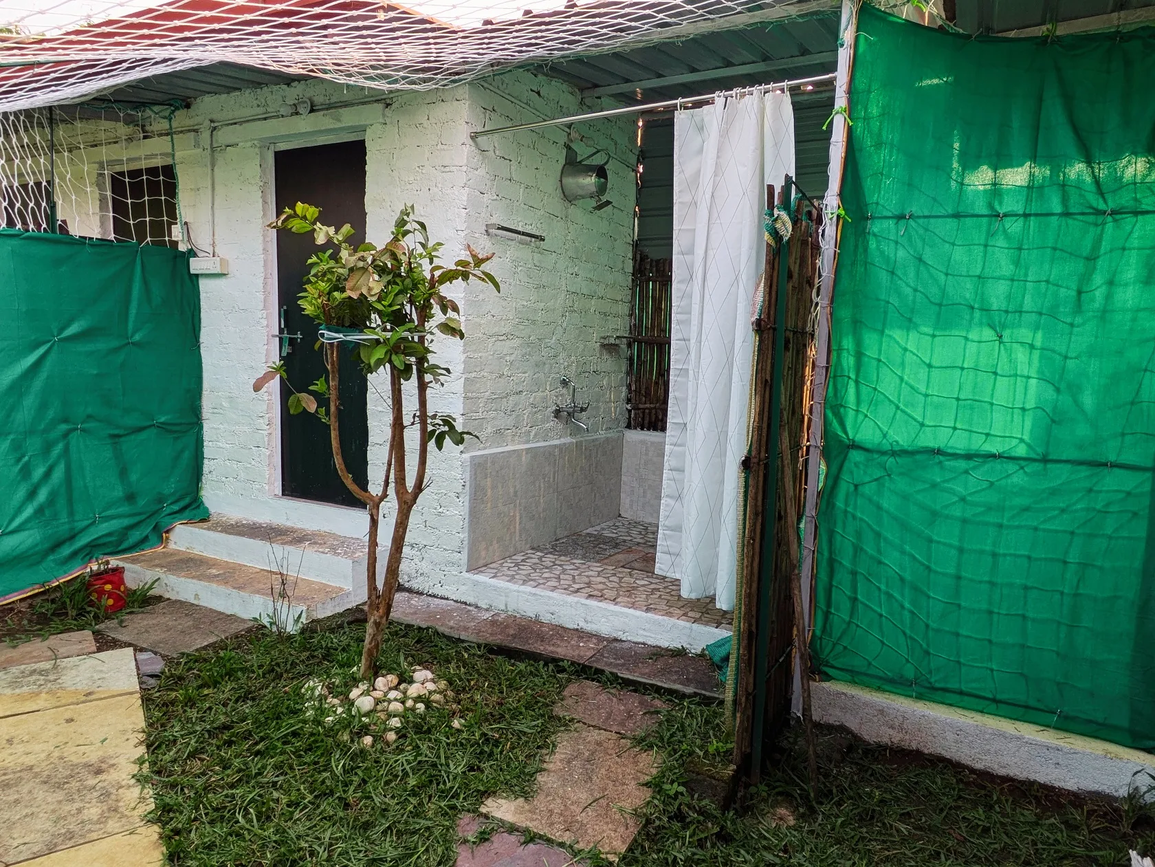 Lotus –Bali - Image 5