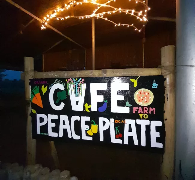 Fold 6 - Cafe Peace Plate