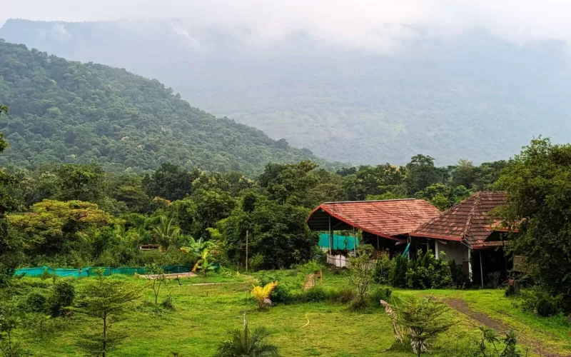 Natural Living - Fold 2 - Living amid the lap of nature- final
